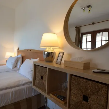 Buzas Pince Vendeghaz Guest house *