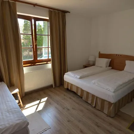 Konukevi Buzas Pince Vendeghaz 3*