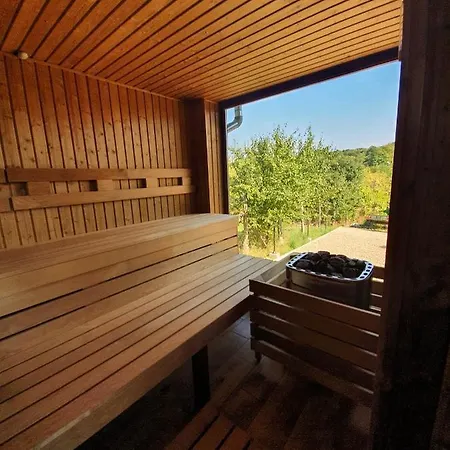 Buzas Pince Vendeghaz Konukevi 3*