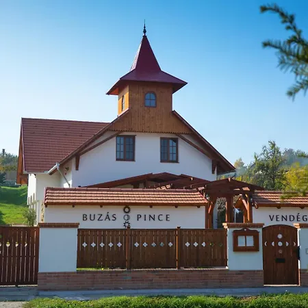 Buzas Pince Vendeghaz