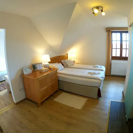 Guest house Buzas Pince Vendeghaz