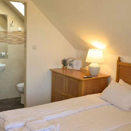 Buzas Pince Vendeghaz Guest house *