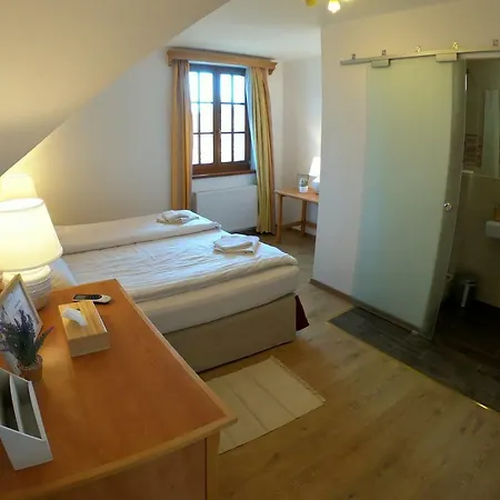 Buzas Pince Vendeghaz Guest house *