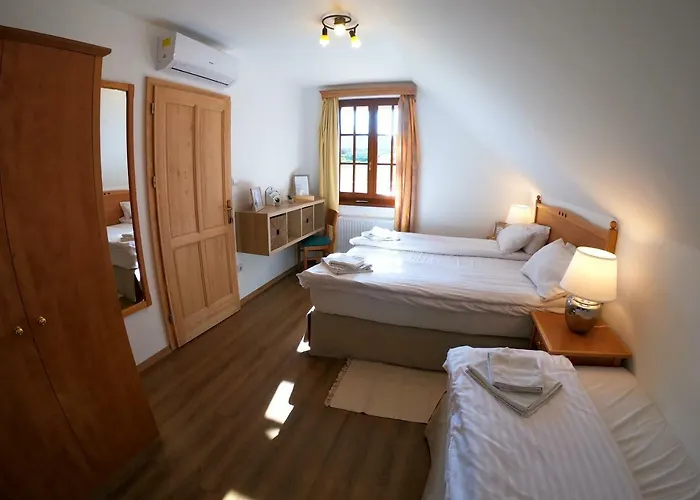 Buzás Pince Pensión 3*